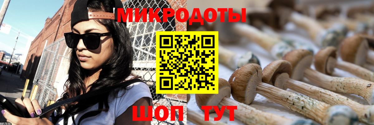 Псилоцибиновые грибы MAGIC MUSHROOMS  Галлюциногенные грибы GOLDEN TEACHER  Котлас  Вход с VPN 